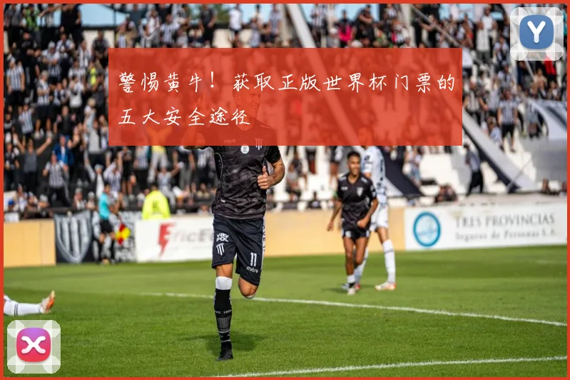 警惕黄牛！获取正版世界杯门票的五大安全途径