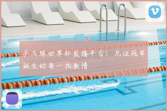 乒乓球世界杯直播平台：见证冠军诞生的每一拍激情
