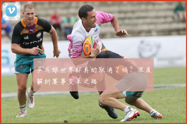 乒乓球世界杯真的取消了吗?深度解析赛事变革之路