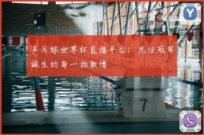 乒乓球世界杯直播平台：见证冠军诞生的每一拍激情