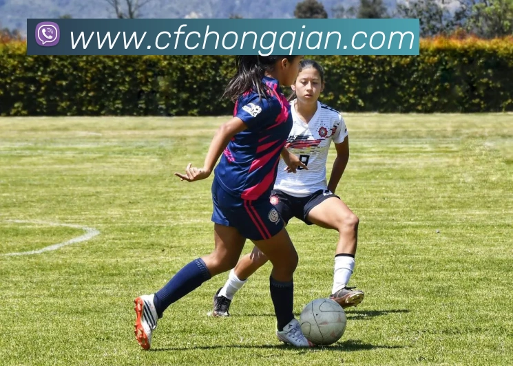 米兰app登陆入口服务体系